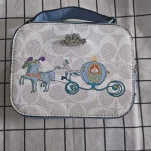 Designer Dis_ney Princess Bag