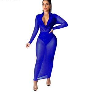 Sexy V-neck Long Sleeve See-through Long Dress
