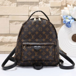 L_V Backpack