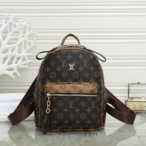 L_V Backpack